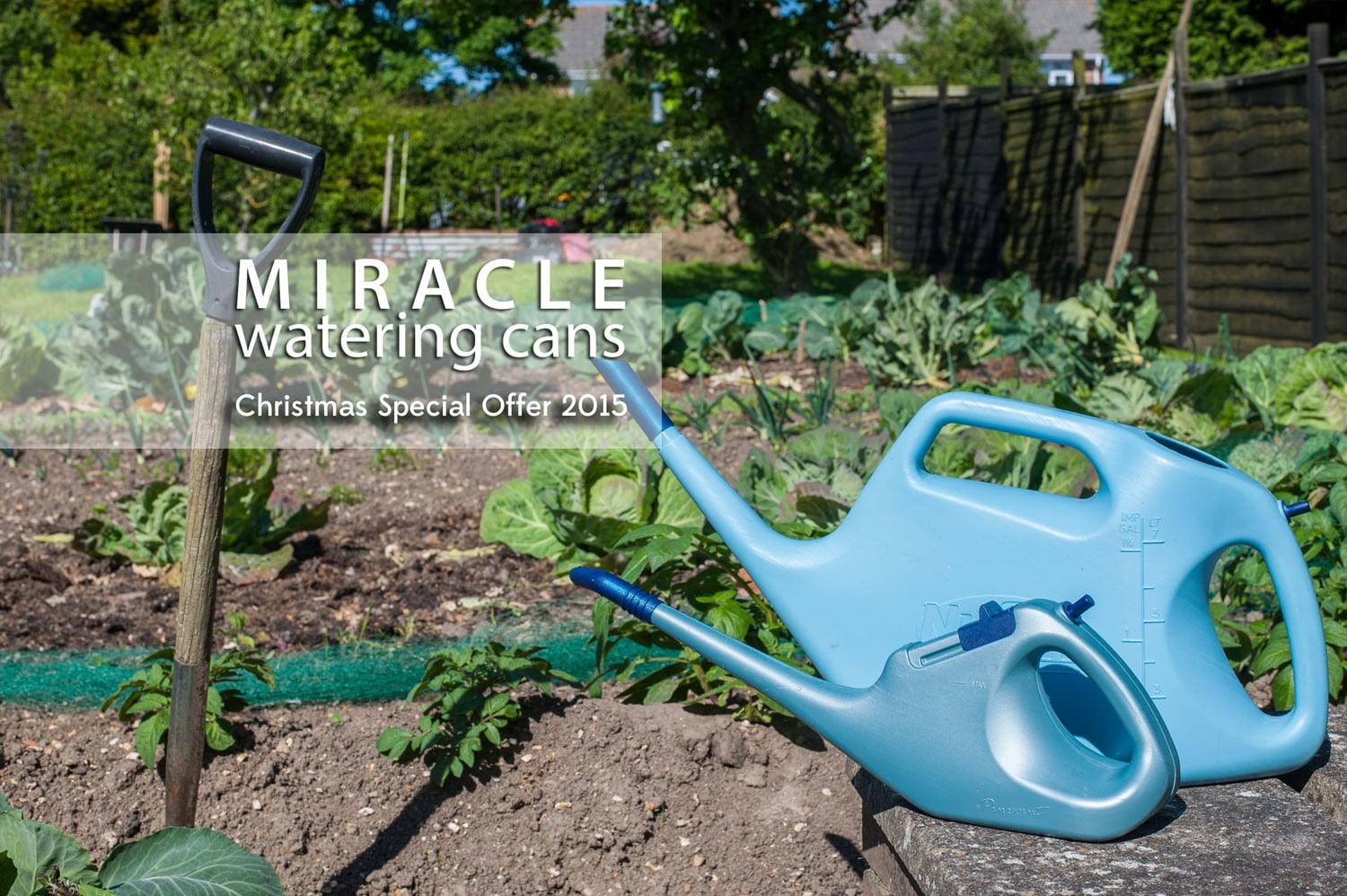 miracle-watering-cans-christmas-offer-2015