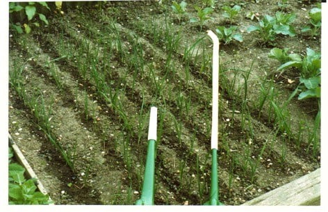 miracle watering can long spout short spout watering seedlings